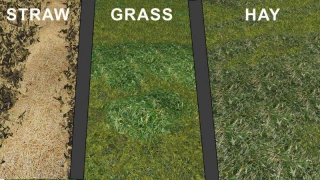 REAL TEXTURES PACK v 2.0 thumbnail 3