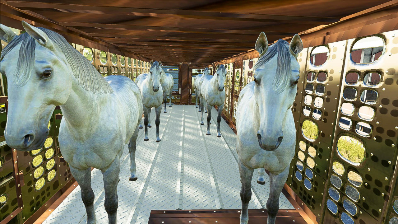 SilverStar Horse Trailer