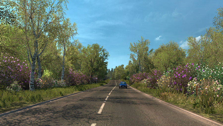 Spring Graphics/Weather