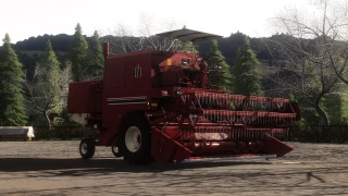 IHC 923 v 1.1 thumbnail 3