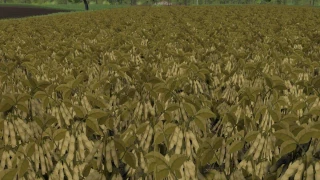Modified soy texture v 1.0 thumbnail 5