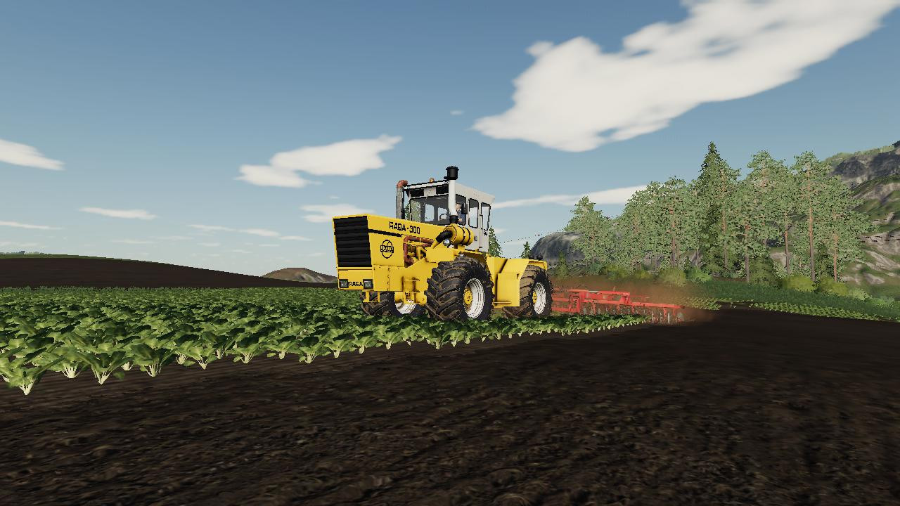 Raba 300
