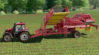 Root Harvester Pack Grimme SE 260 v 1.0 thumbnail 2