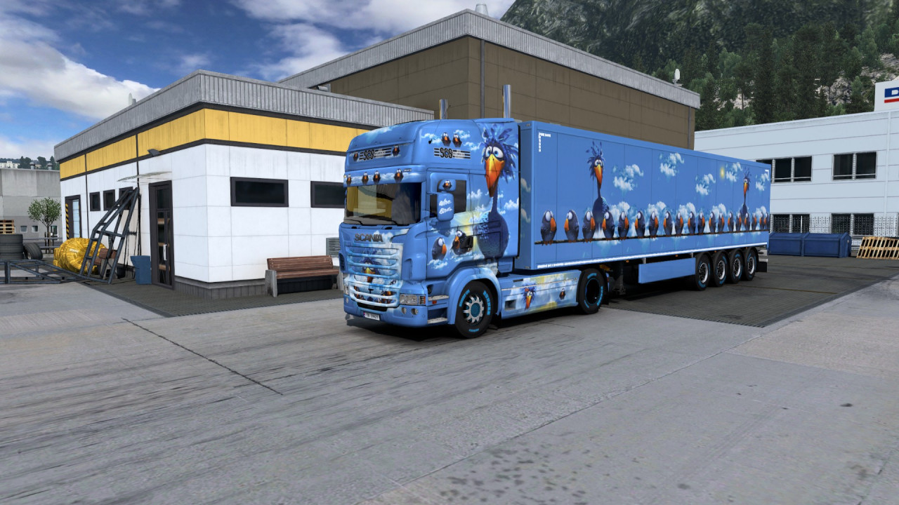 Combo skin For the Birdsn