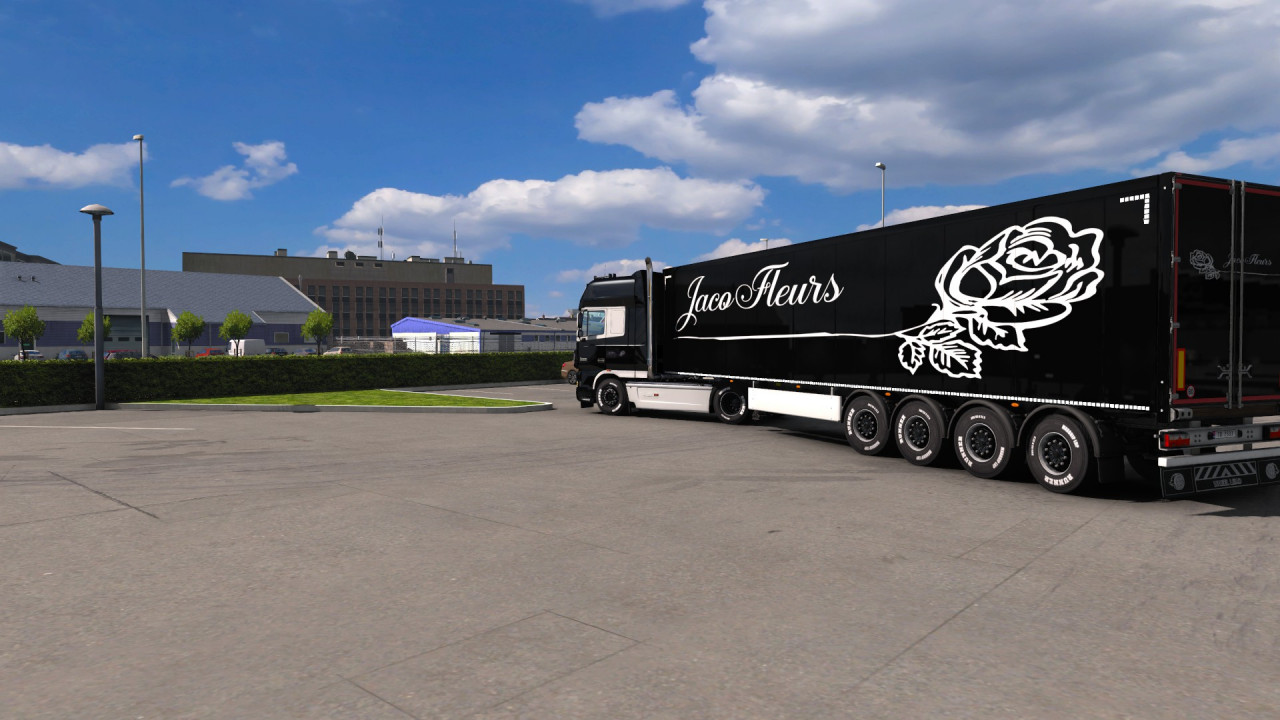 Combo skin Jaco Fleurs