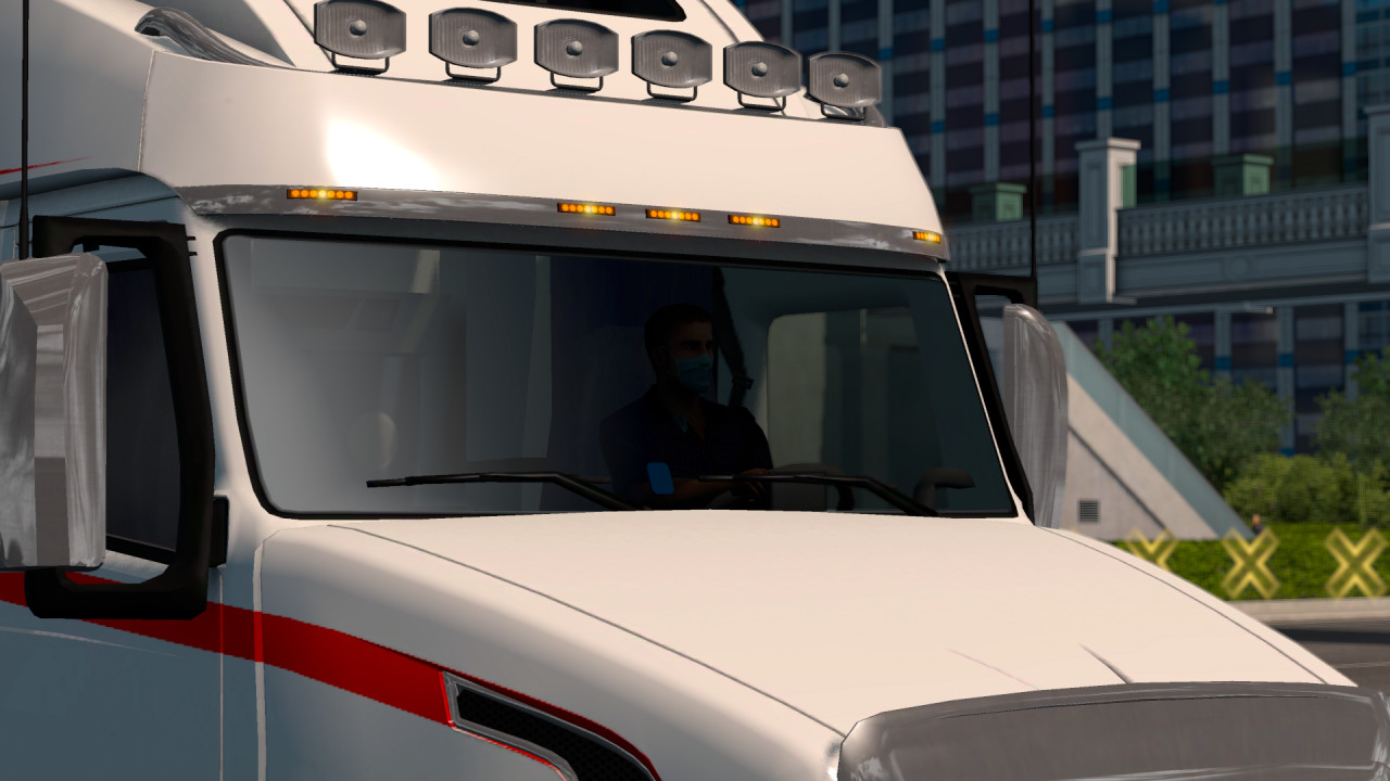 Covid Face Mask For Your Driver