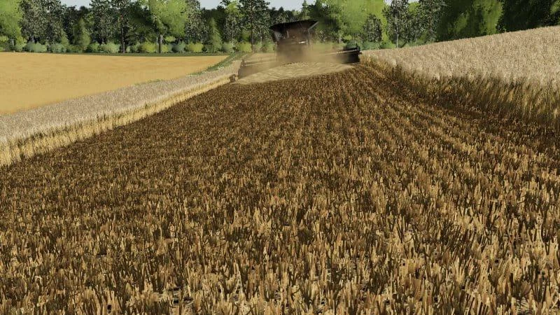 Barley / wheat texture v 1.0