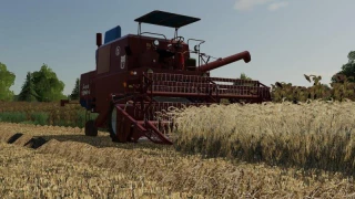 Barley / wheat texture v 1.0 thumbnail 4