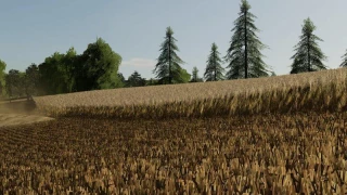 Barley / wheat texture v 1.0 thumbnail 5