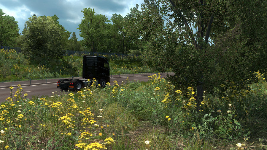 New Summer Graphics/Weather