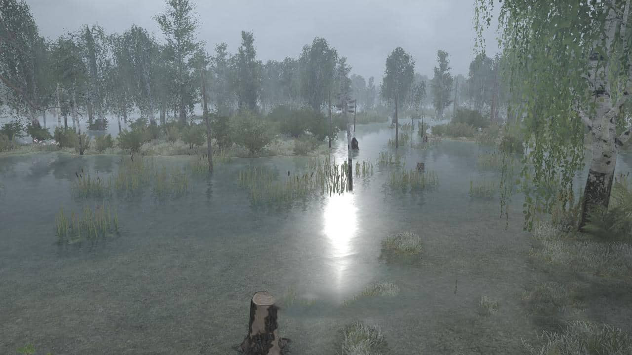 Swamp Scavenger map
