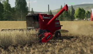 Vassalli 1200 v 2.0 thumbnail 2