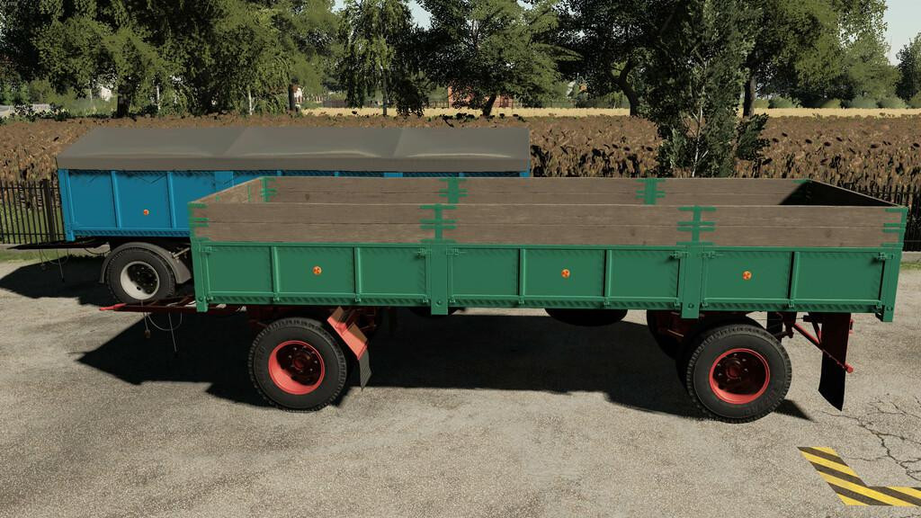 Lizard D616