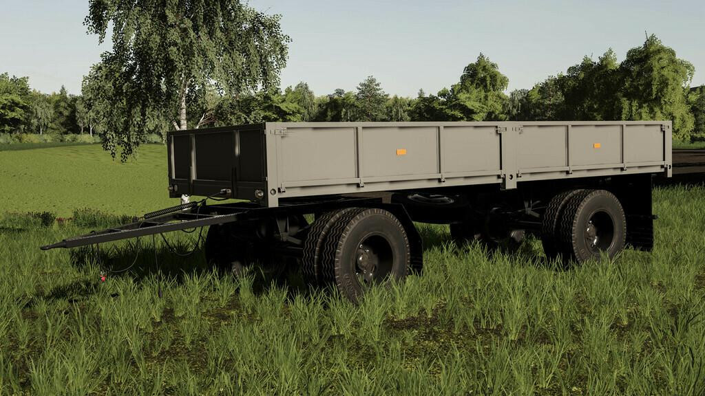 Lizard D83