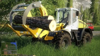 Pack Liebherr L 524 v 1.0 thumbnail 3