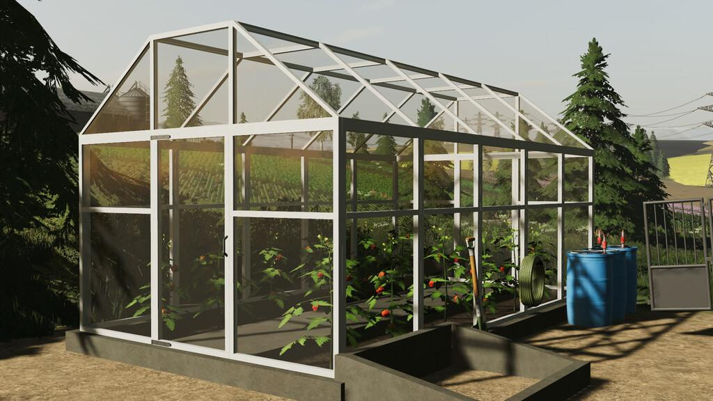 Polish Greenhouse With Tomatoes