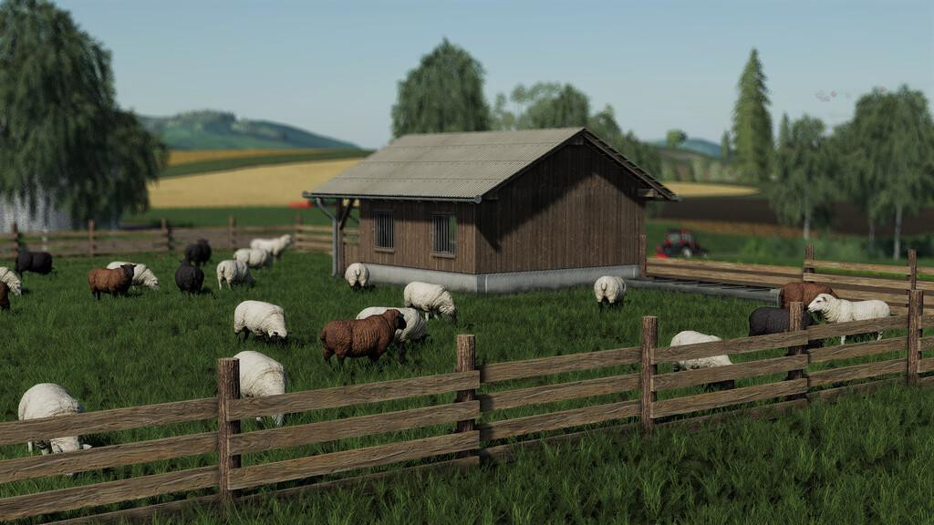 Sheep Pasture