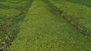 TEXTURE OF STRAW, HAY, GRASS v 1.0 thumbnail 2