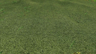TEXTURE OF STRAW, HAY, GRASS v 1.0 thumbnail 3