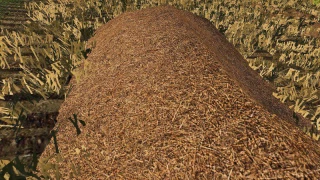 TEXTURE OF STRAW, HAY, GRASS v 1.0 thumbnail 4