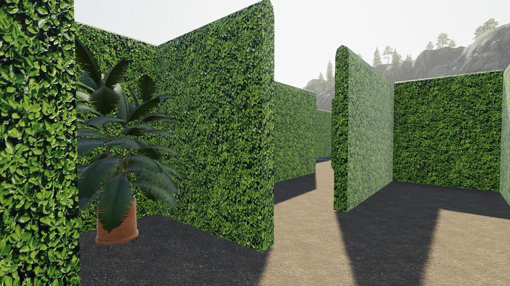 Maze