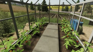 Pack Of Polish Greenhouses With Tomatoes v 2.0 thumbnail 6