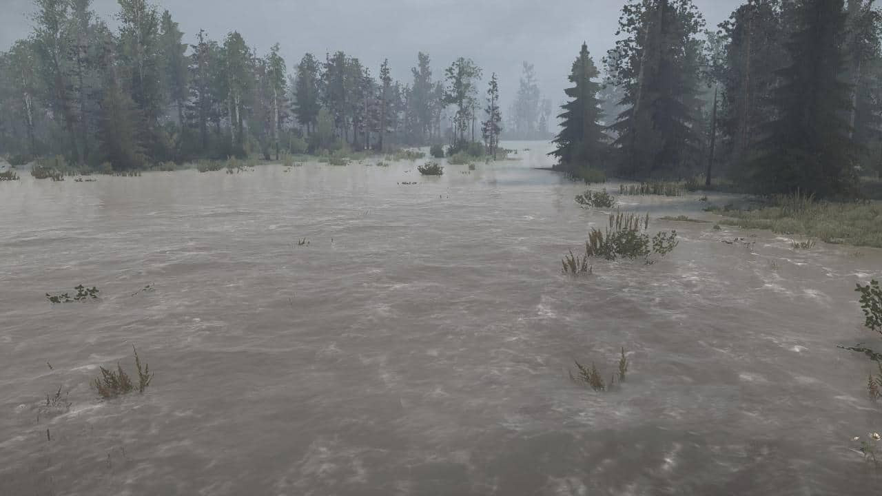 Swamp Map