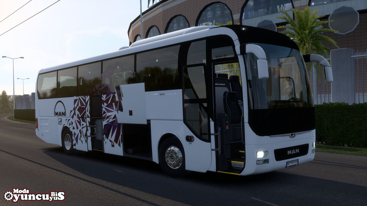 Man Lion’s Coach