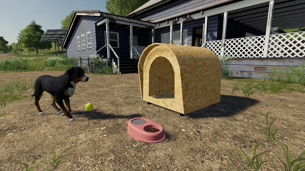 Brazilian Dog House