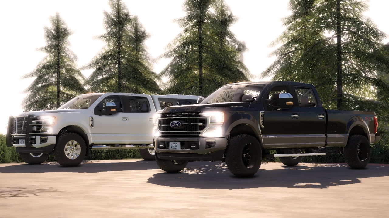 2020 Ford F-250-F-450 Work Truck