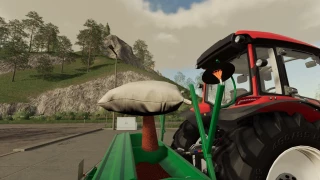 Bags With Seeds Pack v 1.0 thumbnail 4