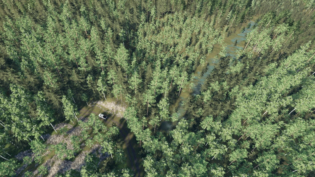 Conifer Trees (Prefab)