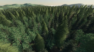 Geiselsberg Forestry Edition v 1.0 thumbnail 7