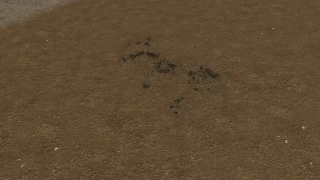Pack Of Traces v 1.0 thumbnail 5