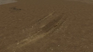 Pack Of Traces v 1.0 thumbnail 3