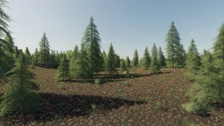 Spectacle Island v 1.2 thumbnail 2