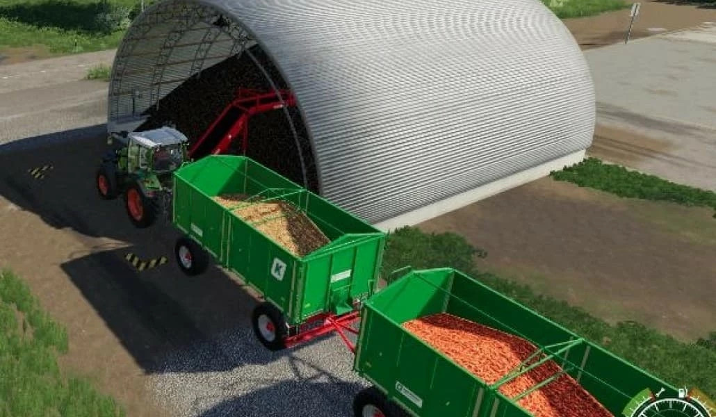 Storage carrots onions