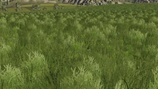 TRAWA v 1.0 thumbnail 4