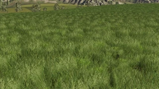 TRAWA v 1.0 thumbnail 2