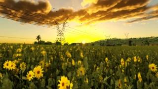 Estancia Lapacho v 1.0.2.0 thumbnail 3