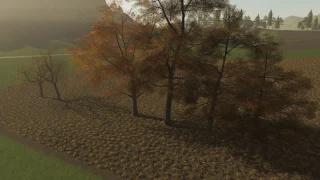 FS19 TREES v 1.0 thumbnail 8