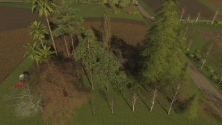 FS19 TREES v 1.0 thumbnail 6