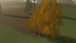 FS19 TREES v 1.0 thumbnail 5