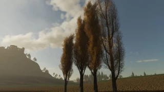 FS19 TREES v 1.0 thumbnail 4