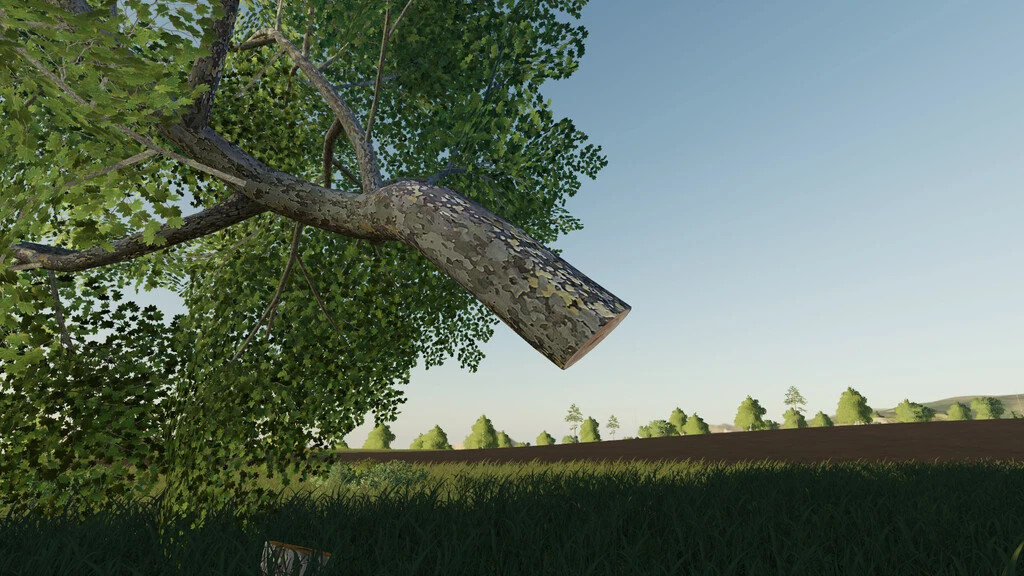 LumberJack