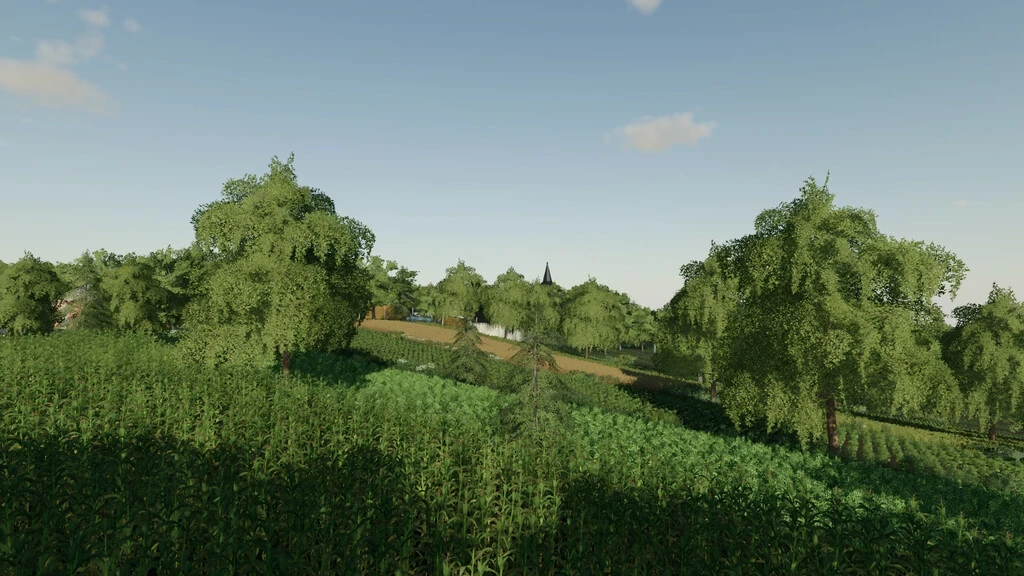 Micro Polish Map