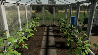 Pack Of Polish Greenhouses With Tomatoes v 2.0 thumbnail 10