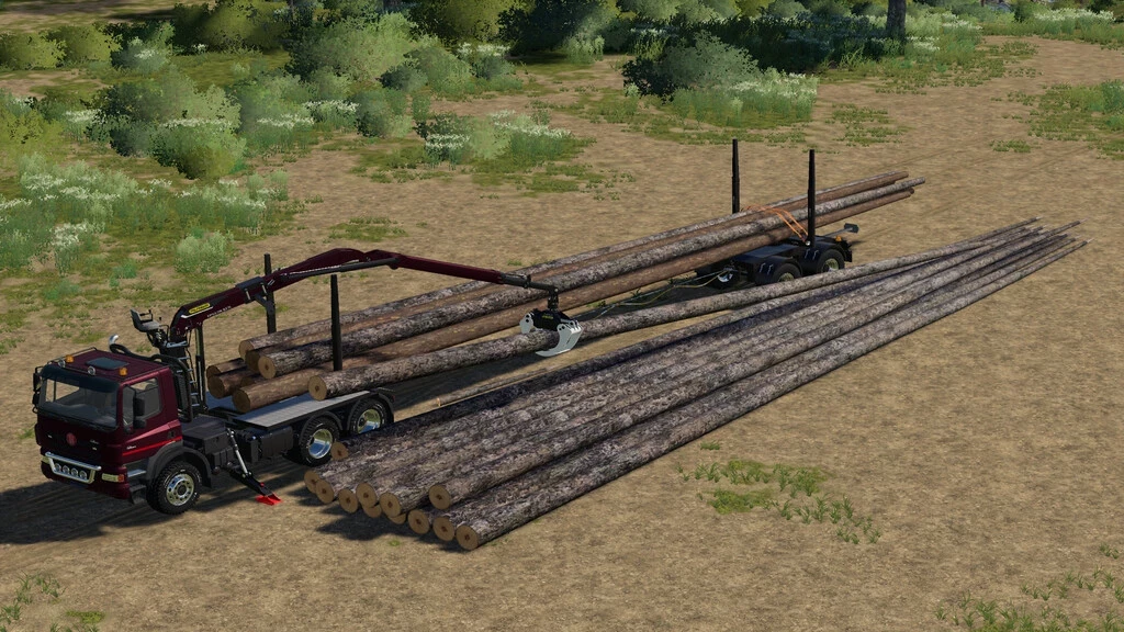 Placeable Longwood Pack