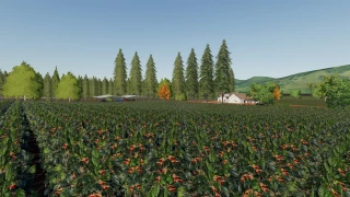 Santo Anjo Farm v 3.0 thumbnail 3