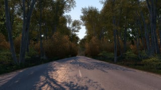 Early Autumn Mod